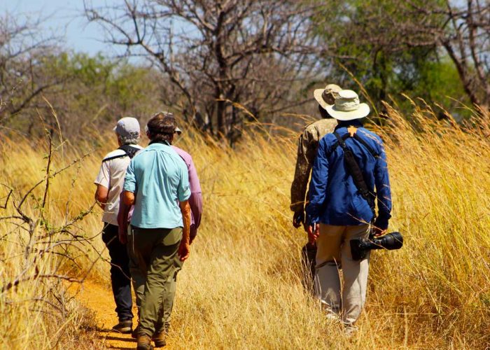 12-days-best-of-uganda-safari