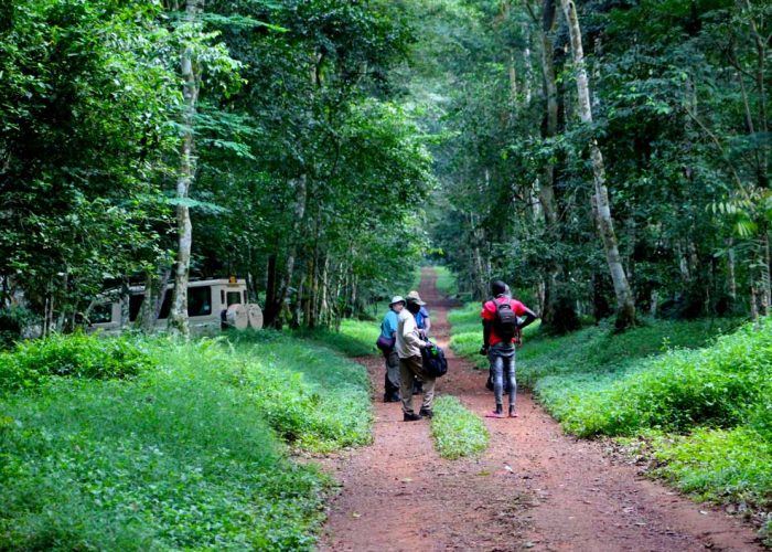 2-days-budongo-forest-tour