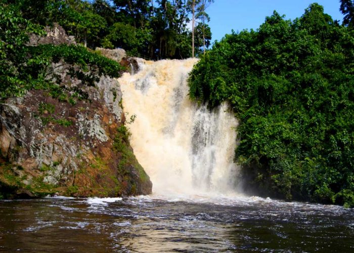 2-days-mabira-forest-tour