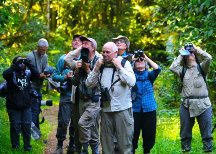 12-days-birding-uganda-tour