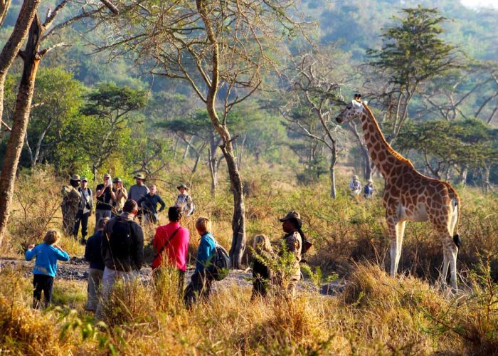 3-days-lake-mburo-national-park