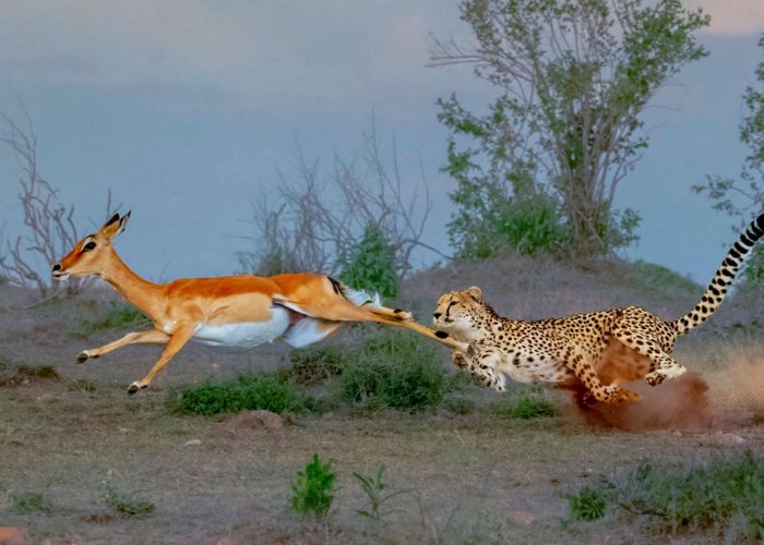 3-days-masai-mara-safari