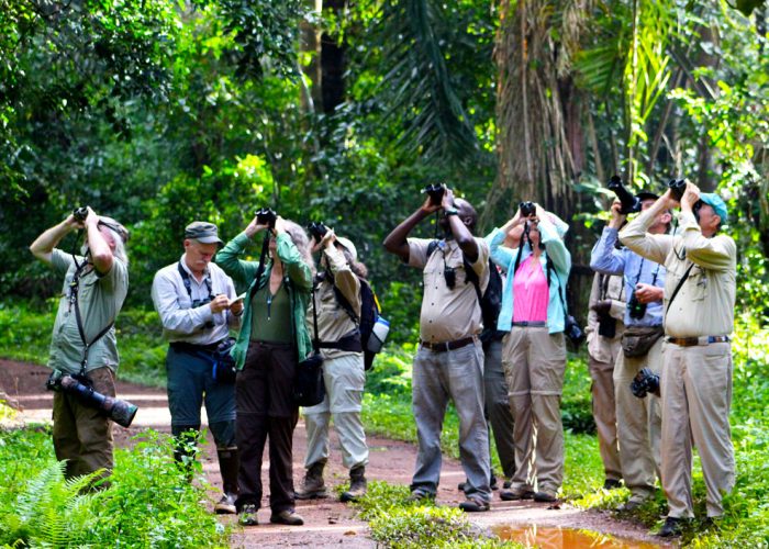 15-days-uganda-birding-experience