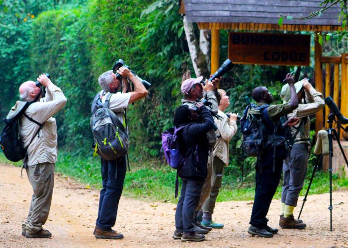 24-days-classic-uganda-birding-tour